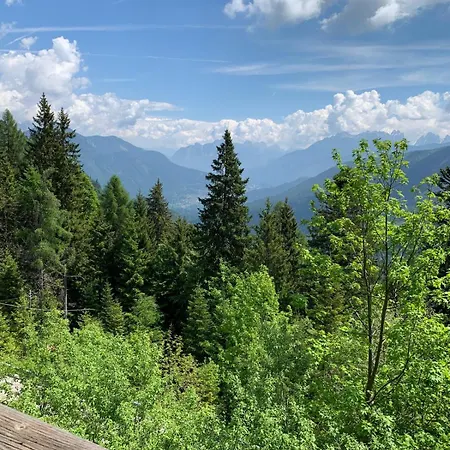 Dafne Dolomites 公寓 *