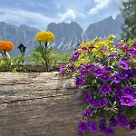 Apartmán Dafne Dolomites *