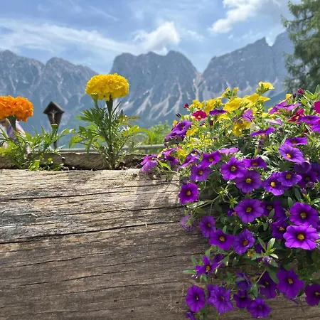 Lägenhet Dafne Dolomites *