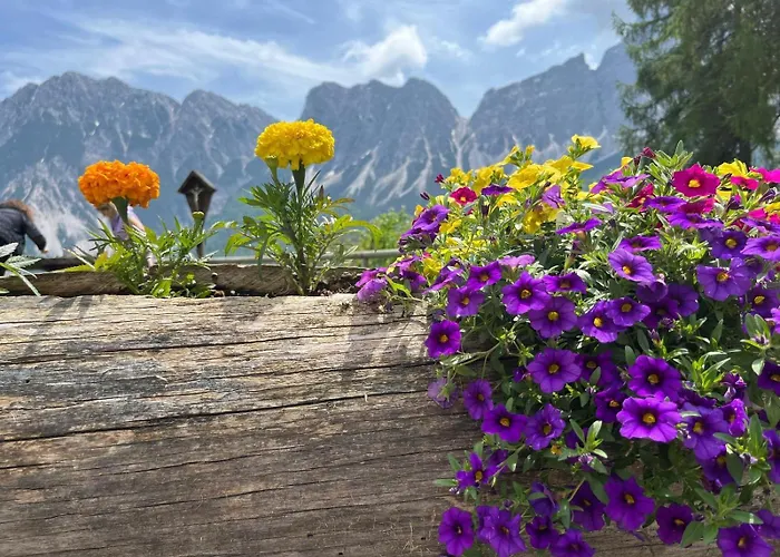 Appartamento Dafne Dolomites *